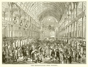 Le marché de la viande métropolitain - English School