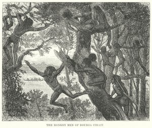 Les hommes-singes du détroit de Dourga (gravure) - English School