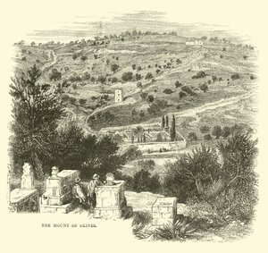 Le Mont des Oliviers - English School