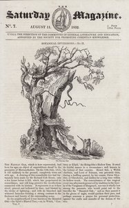 Le chêne de Nannau - English School