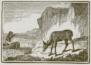 La biche borgne (gravure) - English School
