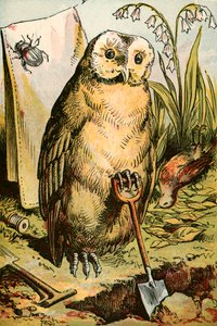 Le Hibou, le Scarabée et le Rouge-gorge