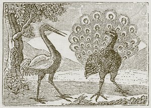 Le paon et la grue (gravure) - English School