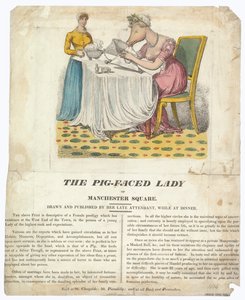 La Dame au visage de cochon de Manchester Square - English School