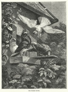 La Maison des pigeons (gravure) - English School