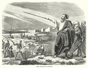La plaie des sauterelles (gravure)