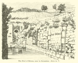 La piscine de Siloé, près de Jérusalem - English School