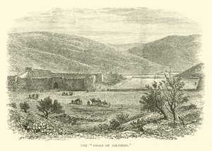 Les Bassins de Salomon - English School