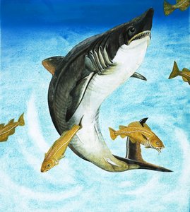 Le Requin-taupe
