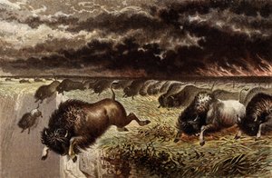 La prairie en feu - English School