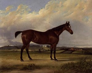 La fierté de l