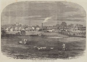 La ferme modèle du prince consort à Osborne (gravure) - English School