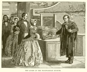 La Reine au Musée Woodwardian - English School