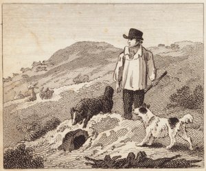 Le Terrier de Lapins (gravure) - English School