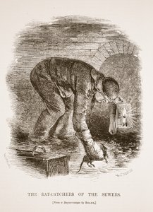 Les chasseurs de rats des égouts, d