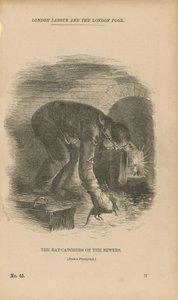 Les chasseurs de rats des égouts