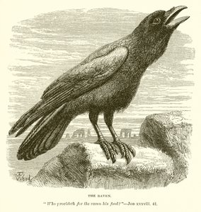 Le Corbeau - English School