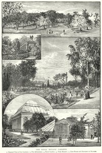Les Jardins botaniques royaux (gravure) - English School