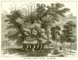 Les Sept Sœurs en 1830 - English School