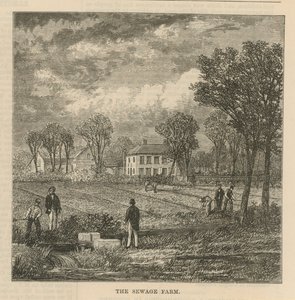 La ferme d