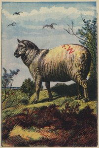 Les Moutons - English School