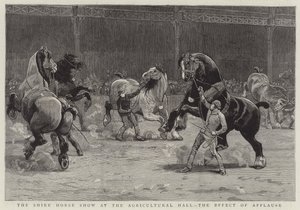 Le spectacle de chevaux de trait à l