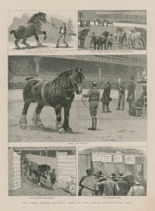 Le salon de la Shire Horse Society au Hall agricole royal - English School
