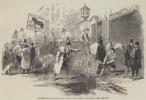 Exposition du Club de Smithfield, arrivée des moutons gras au bazar - English School