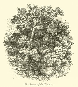 La Source de la Tamise - English School
