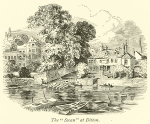 Le Cygne à Ditton - English School