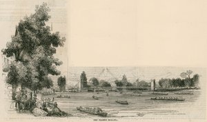 La régate de la Thames - English School