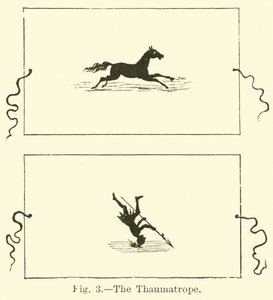 Le thaumatrope - English School