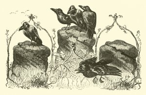 Les trois corbeaux - English School