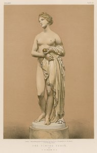 La Vénus Teintée - English School
