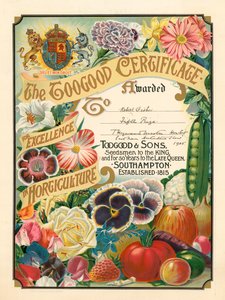 Le Certificat Toogood pour l