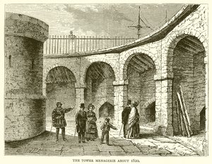 La ménagerie de la Tour vers 1820 - English School