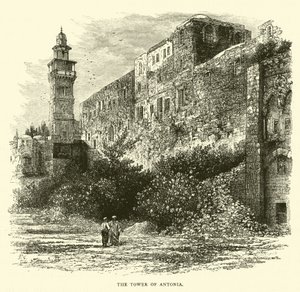 La tour d