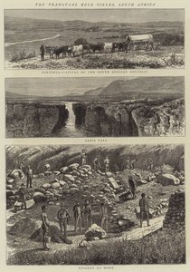Les champs aurifères du Transvaal, Afrique du Sud (gravure) - English School