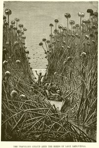 Le voyageur Giraud parmi les roseaux du lac Bangweolo - English School