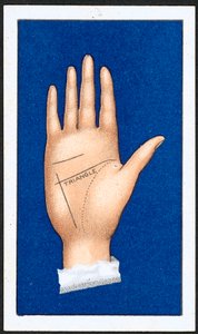 Le Triangle (1) - English School