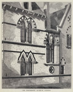 Le musée universitaire, Oxford (gravure) - English School