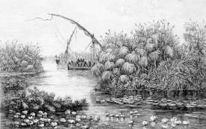 Les navires dans la barrière d