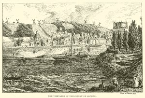 Les vignobles du Coteau de Saumur - English School