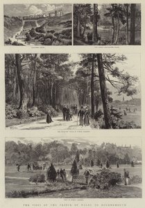 La visite du prince de Galles à Bournemouth - English School