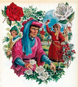 La Guerre des Deux-Roses