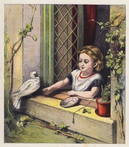 La colombe blanche