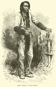 Le Loup, un Indien Ute - English School