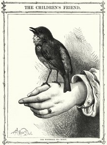 Le rouge-gorge de Woodhall Spa (gravure) - English School