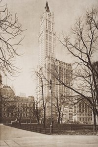 Le bâtiment Woolworth, New York, illustration de 