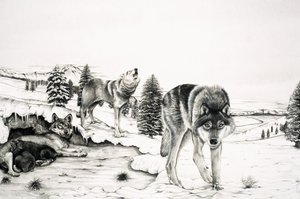 Le Monde de la Nature : Le 